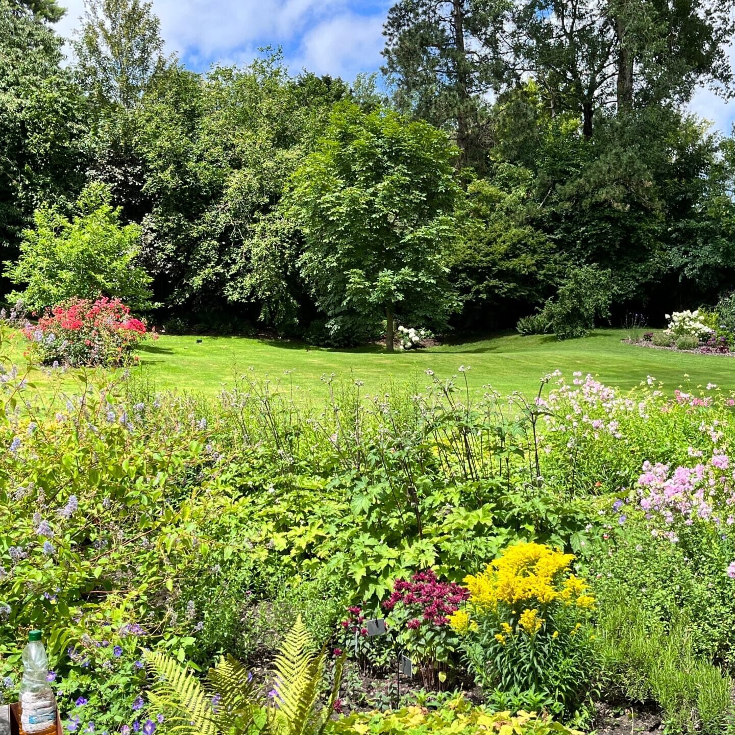 56120E27-2C46-4539-9EF9-DDC25619659E_1_201_a