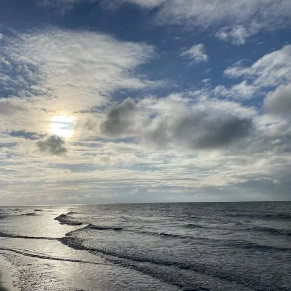 EB1692D9-3744-4530-89A8-68B117F8DF0F-copie-800×600