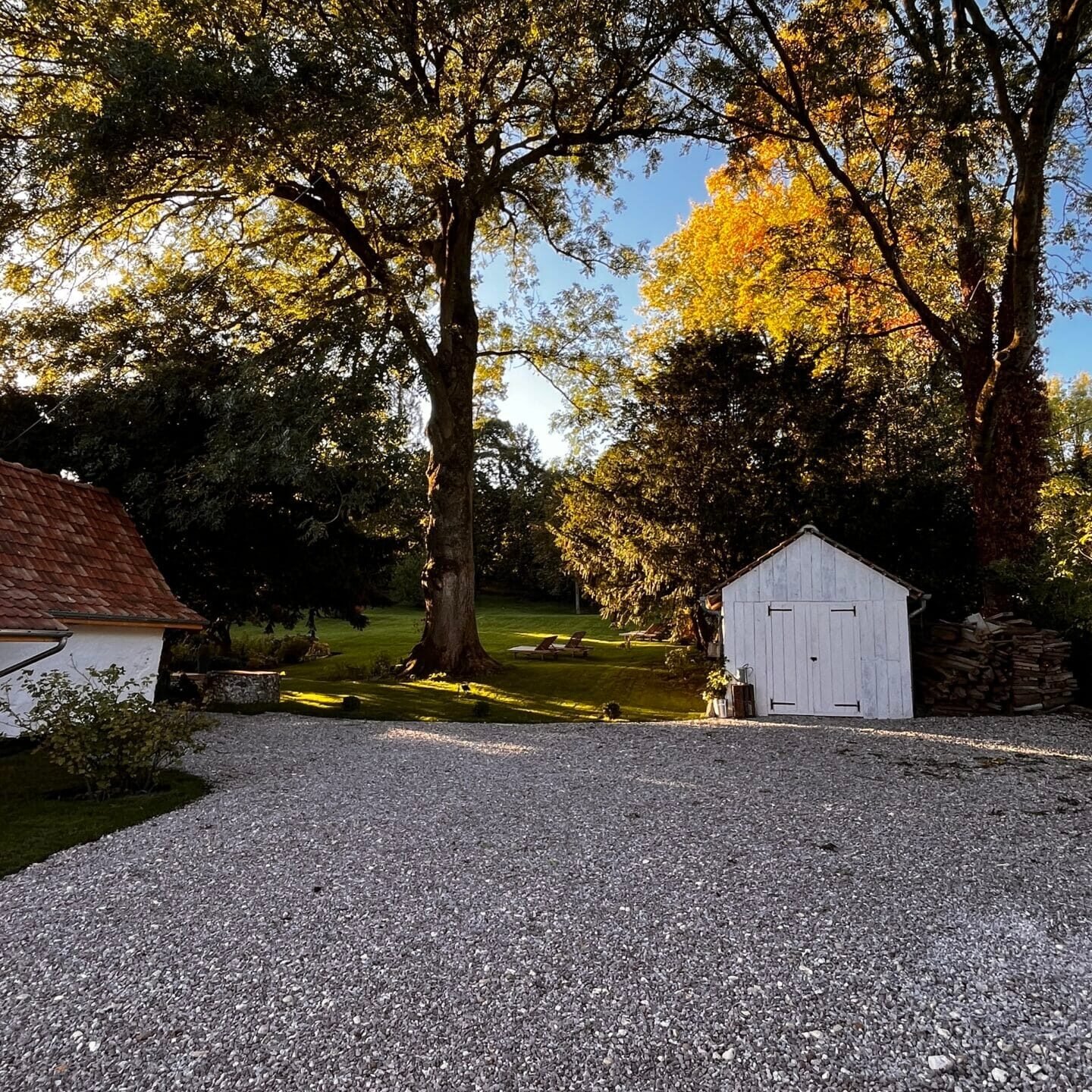 FF942971-8617-484A-9658-211255E13EFB_1_201_a